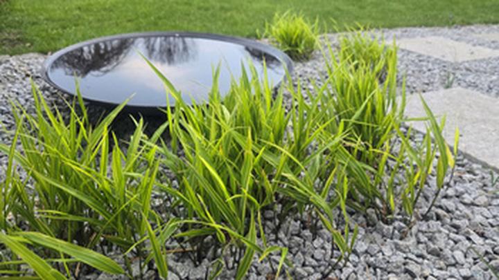 Pielęgnacja mis wodnych