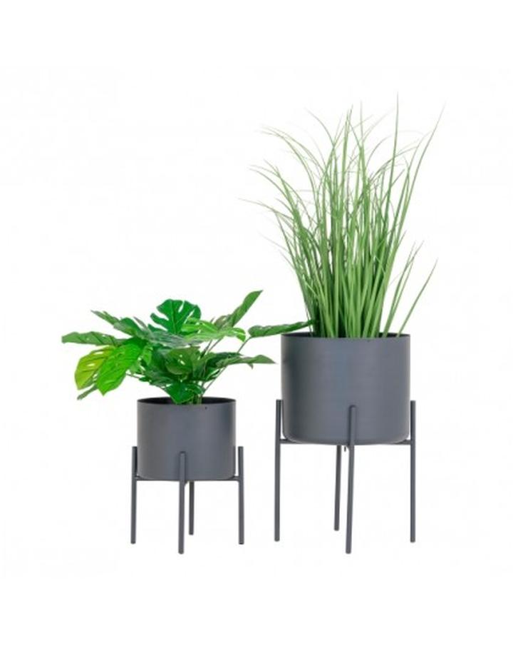 Elegancja i prostota w ogrodzie