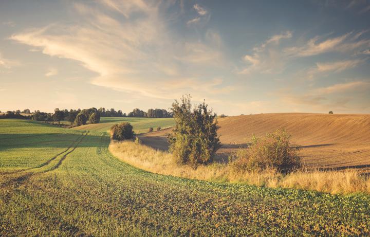 Mity o pejzażach i ochrona środowiska
