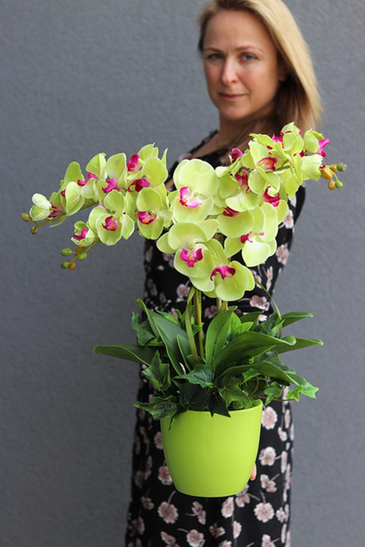 Pielęgnacja zielonego storczyka przez cały rok