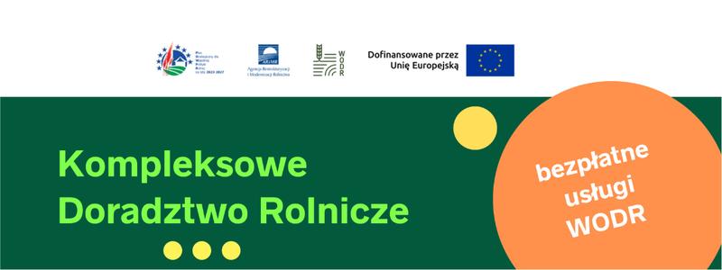 Trendy inwestycyjne przyszłości