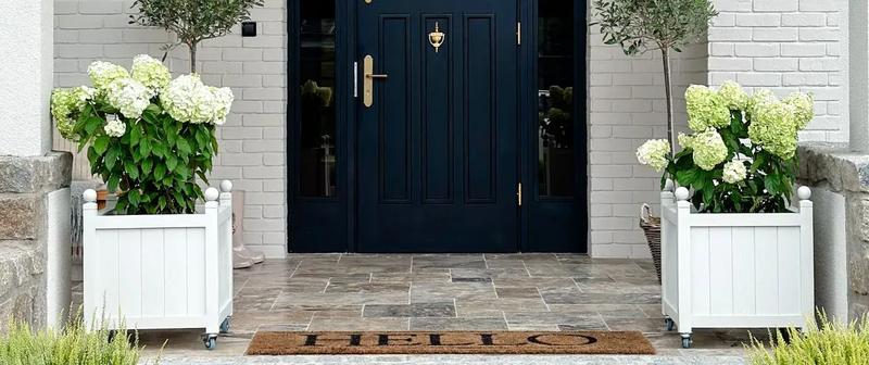 Rośliny do donic przy wejściu