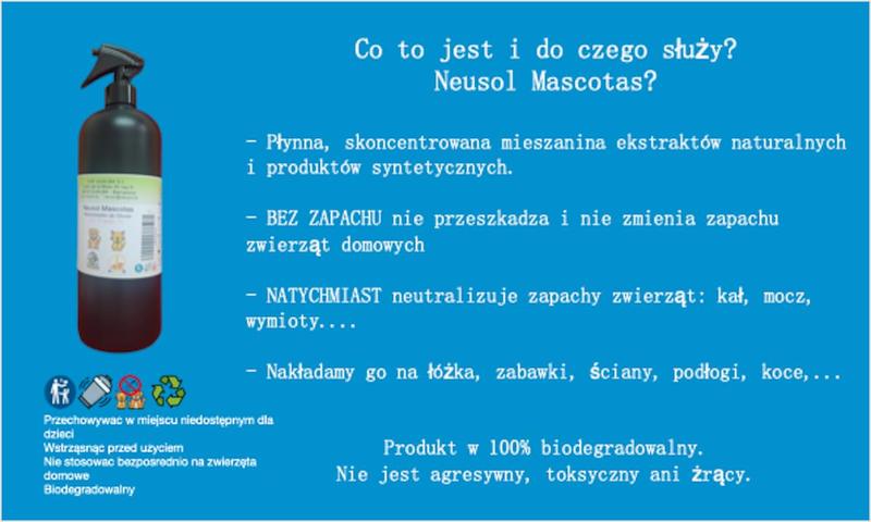 Czyszczenie dywanu w 5 krokach