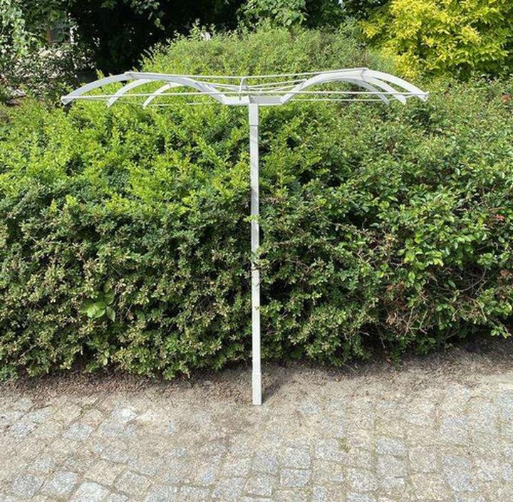 Estetyka ogrodu z pnączami