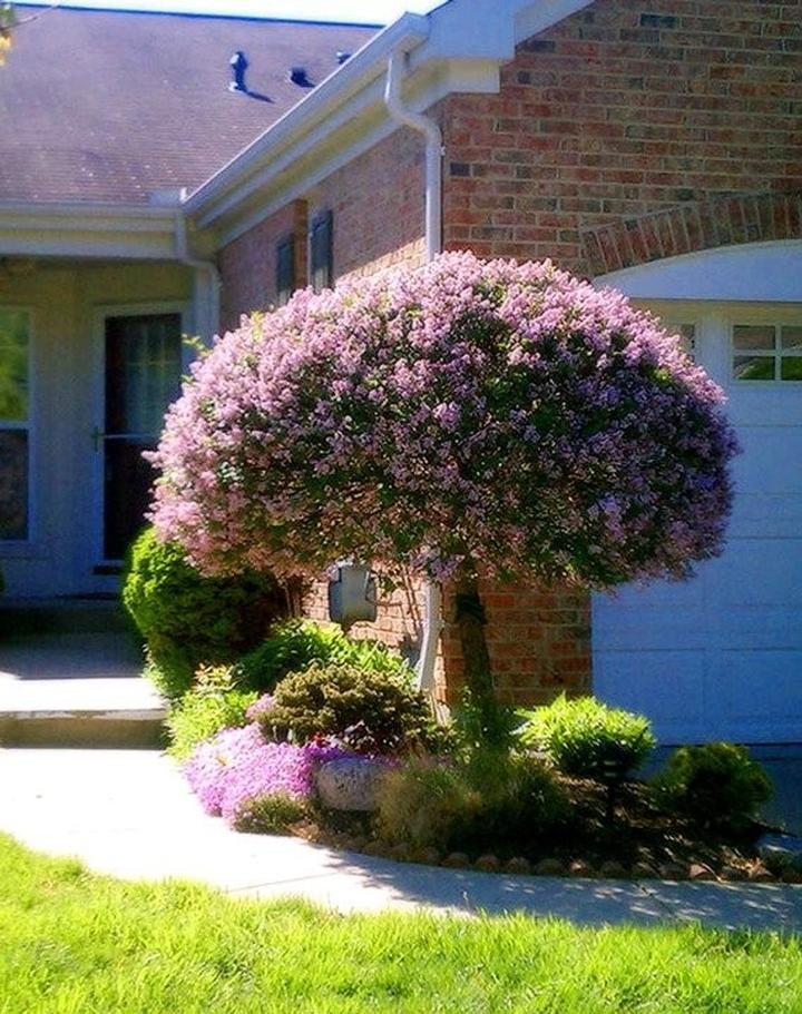 Naturalne krajobrazy w ogrodzie