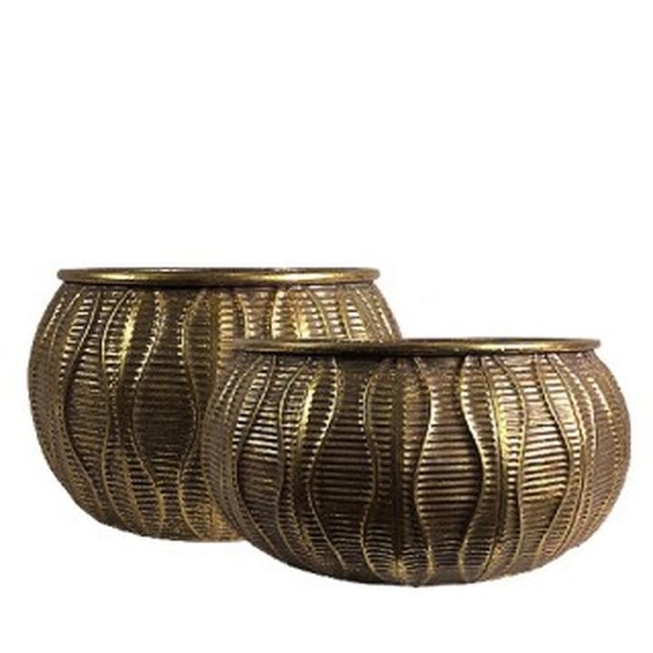 Pielęgnacja roślin i oszczędność czasu