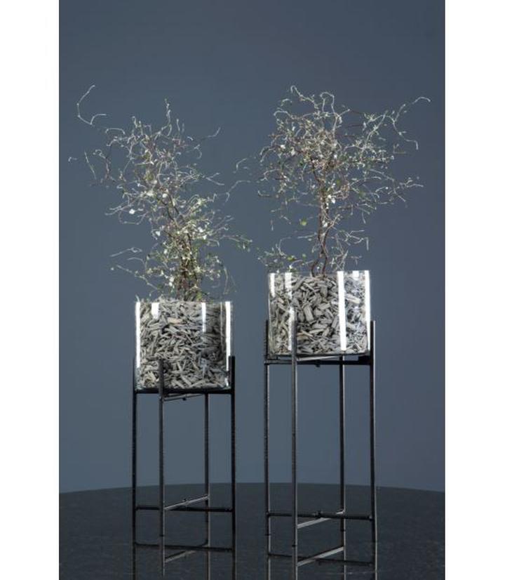 Pielęgnacja storczyków w szklanych doniczkach