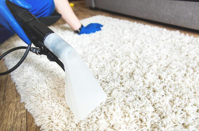 Profesjonalne środki do prania dywanów