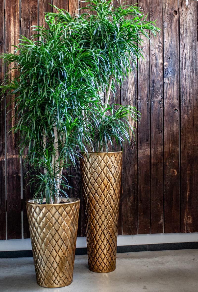 Złote donice do salonu