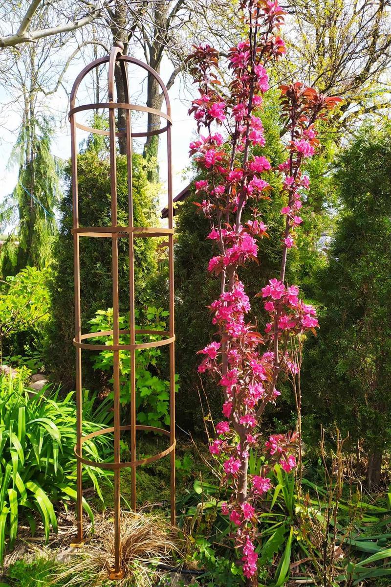 Elegancja w ogrodzie