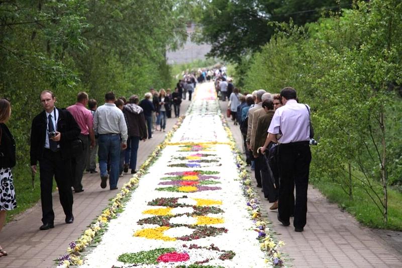 Kwiaty cebulowe w ogrodzie