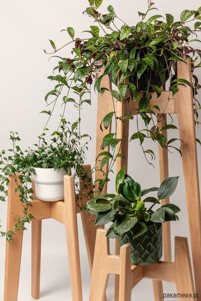 Zalety drewna akacjowego