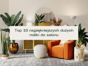 Kwiaty do salonu: 8 wyjątkowych pomysłów na stylową dekorację wnętrza
