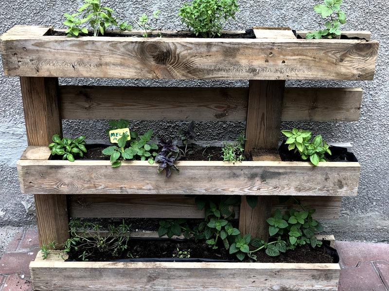 Zrób to sam: Donica drewniana z palet w kilku prostych krokach