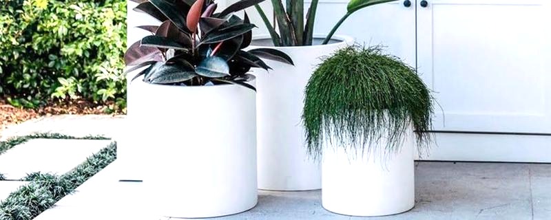Białe doniczki ceramiczne – odkryj najlepsze modele i korzystne promocje